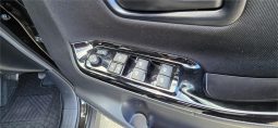 
										2019 Toyota Voxy Welcab full									