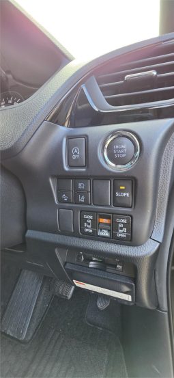 
										2019 Toyota Voxy Welcab full									